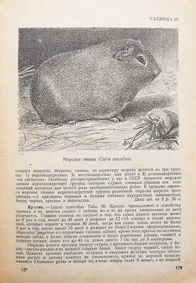 Селивачев Б.В. Иллюстрированный справочник-каталог зоолюбителя. М.: Мосрекламсправиздат, 1930.